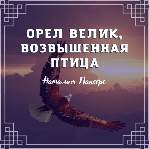 Что опускается но не расцветает что расцветает но не опускается